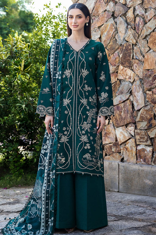 Farasha Winter collection Dhanak stuff